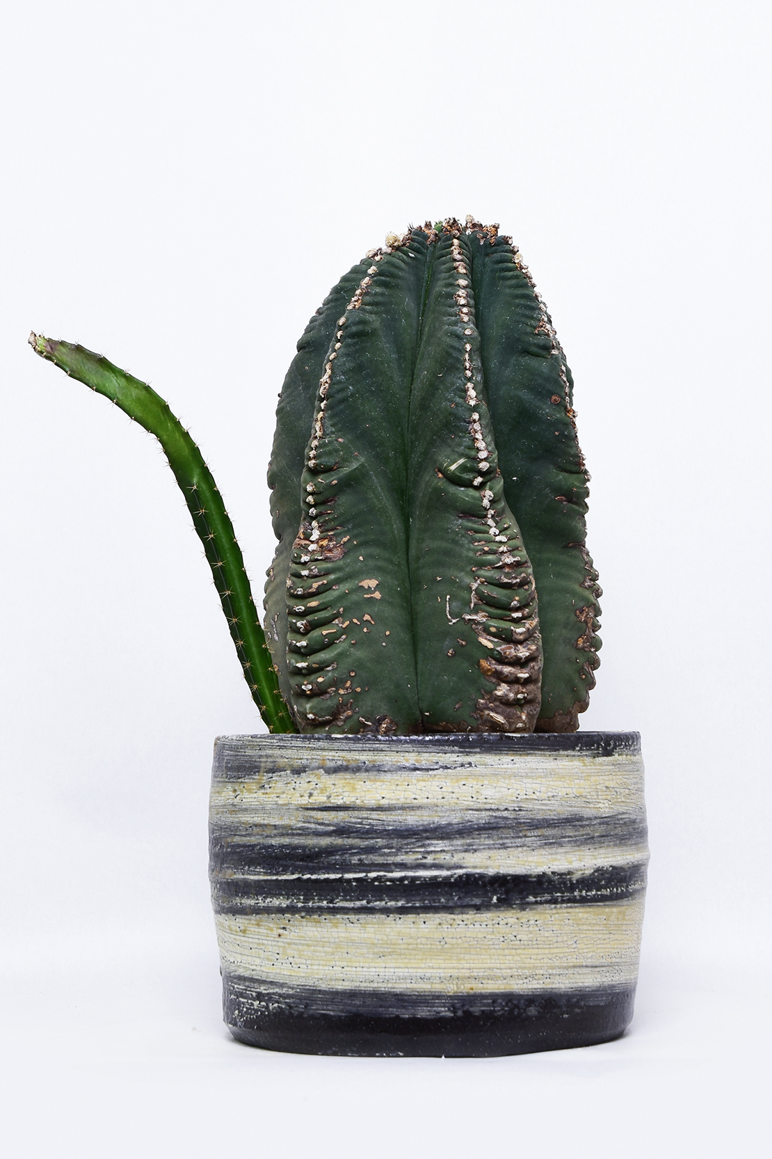 DSC_0163
