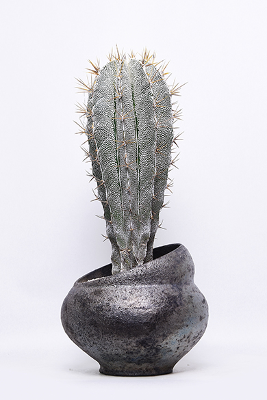 叢 – くさむら – Qusamura