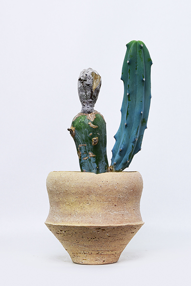 新着 | 叢 – くさむら – Qusamura