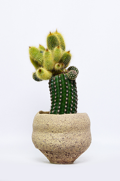 新着 | 叢 – くさむら – Qusamura