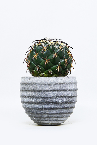 新着 | 叢 – くさむら – Qusamura