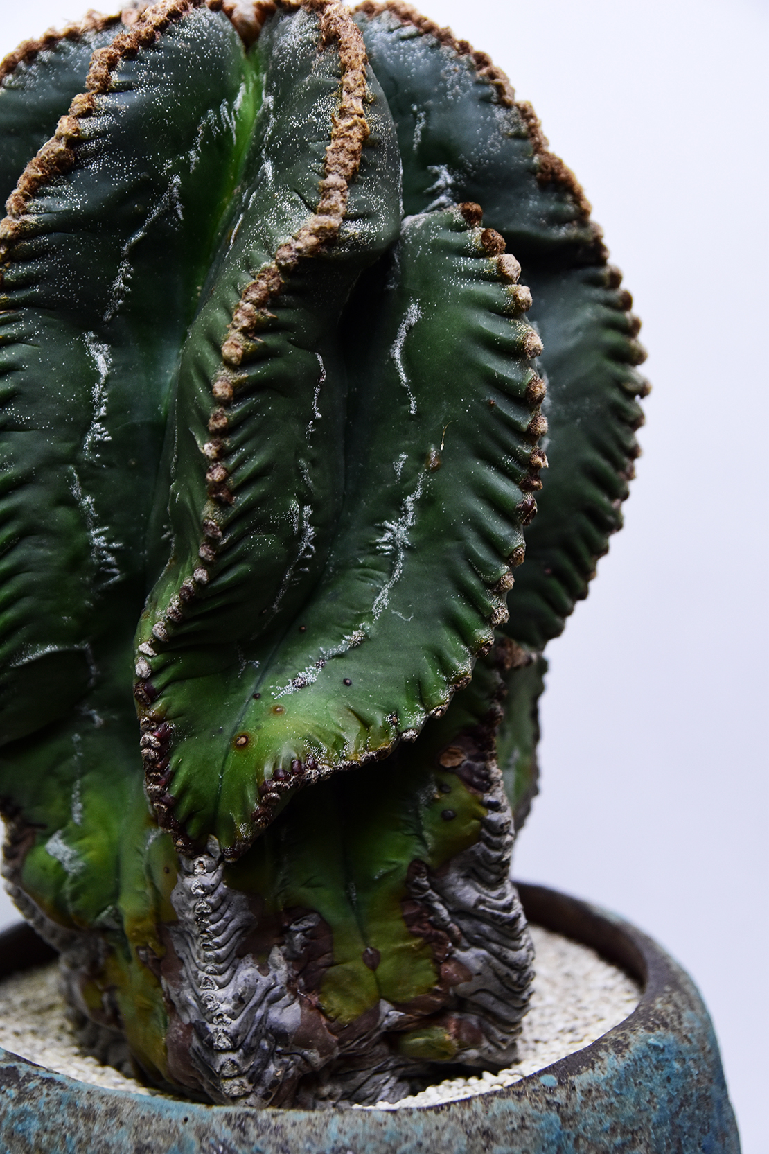 DSC_0473