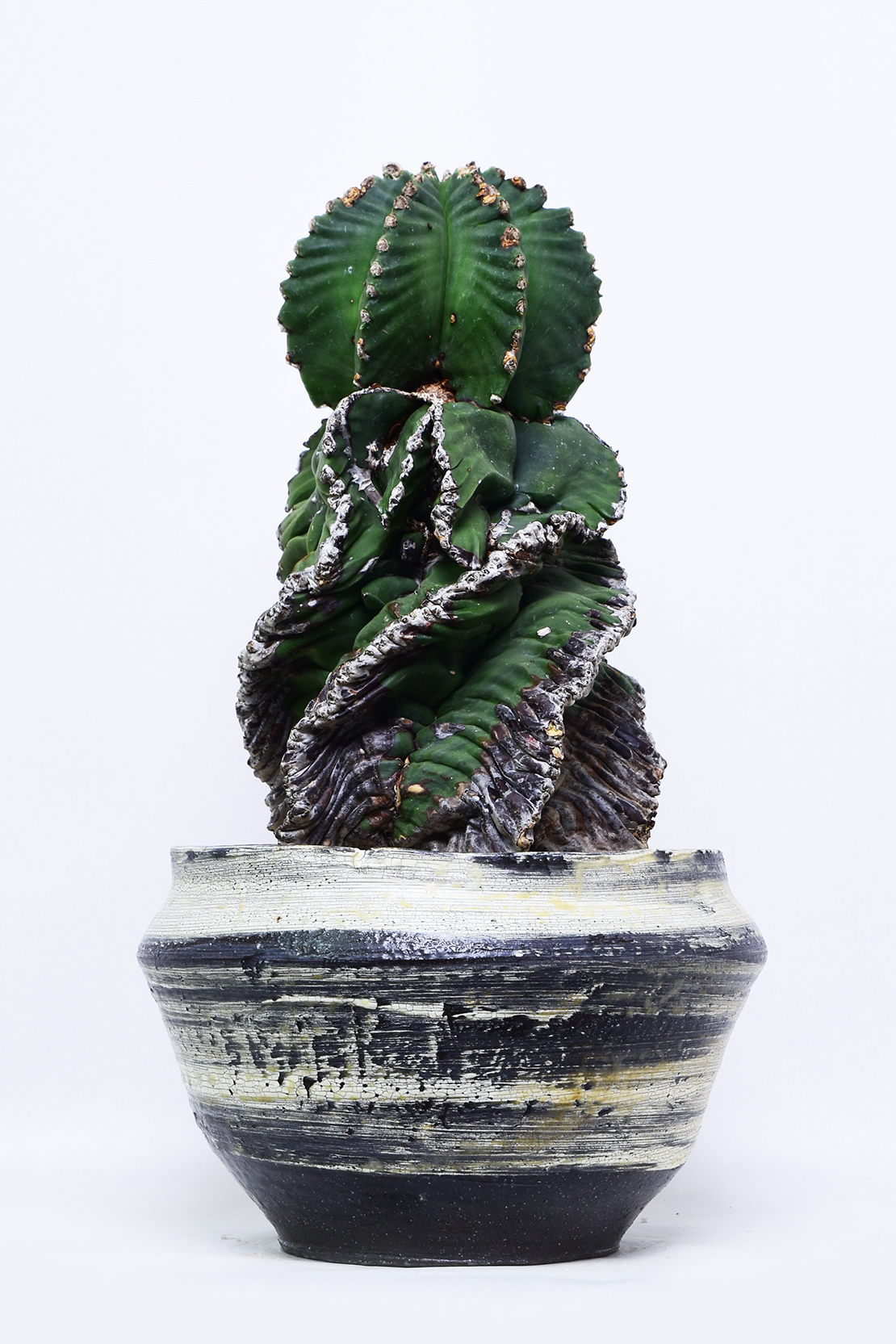 DSC_0505