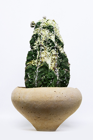 叢　qusamura Grafted - August Editions 叢03 / Qusamura ZeroThree (@qusamura03) • Instagram photos