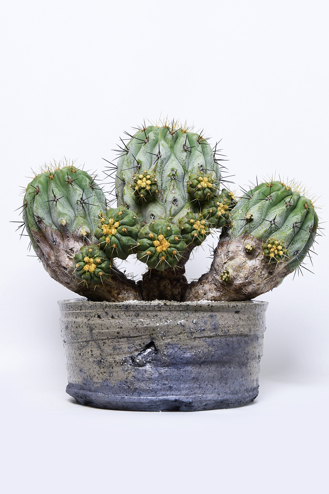 DSC_0610