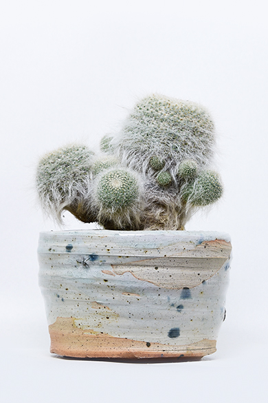 叢　qusamura Grafted - August Editions 叢03 / Qusamura ZeroThree (@qusamura03) • Instagram photos