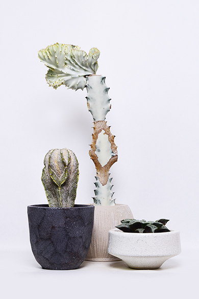 叢 – くさむら – Qusamura