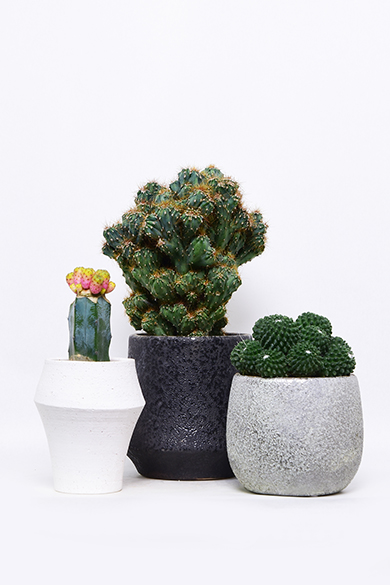 Qusamura 田宮亜紀 × 叢 サボテン 鉢 盆栽 器 作家 情報 | 叢 –