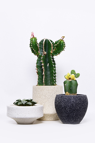 叢 – くさむら – Qusamura